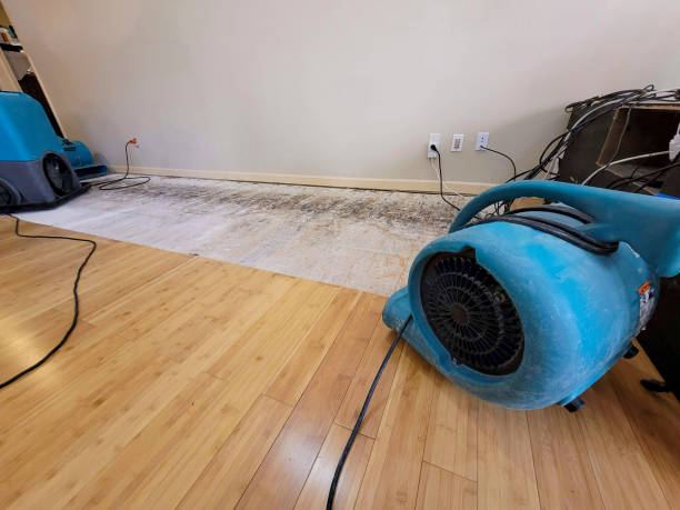 Professional Sewage Cleanup technician working in Cheshire, OH